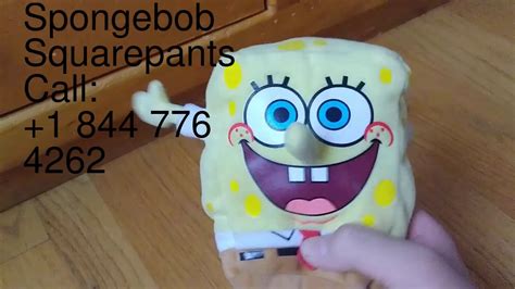 what's spongebob's phone number|spongebob exe phone number.